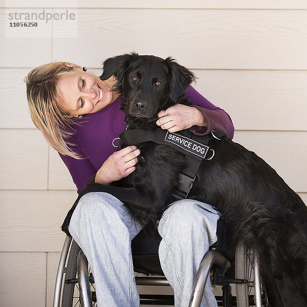 Eine reife Frau im Rollstuhl mit den Armen um ihren Diensthund  einen schwarzen Labrador  dessen Vorderpfoten auf ihrem Schoß liegen.