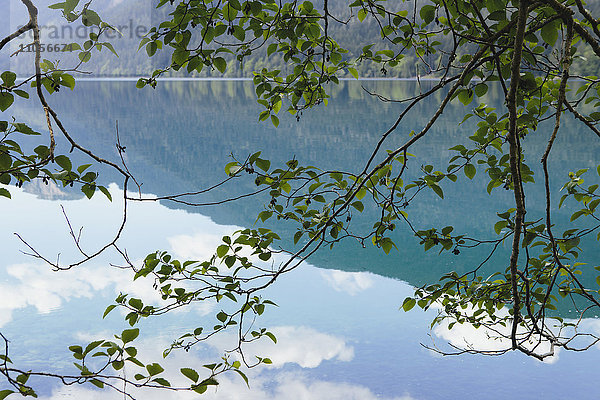 Spiegelungen  Himmel und Wolken spiegeln sich in der Wasseroberfläche des Halbmondsees.