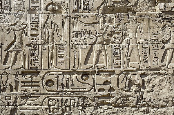 Flachrelief im Karnak-Tempel  Karnak  Luxor  Ägypten  Afrika
