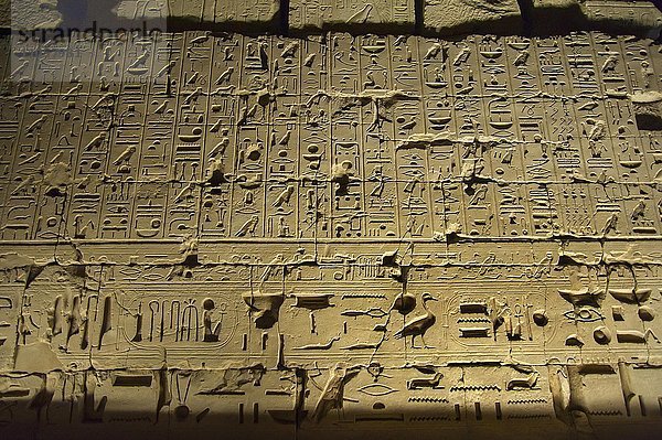 Ägyptische Hieroglyphen  Relief  Tempelanlage Karnak-Tempel  Karnak  bei Luxor  Ägypten  Afrika