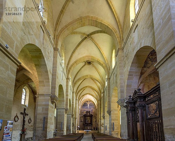 Abteikirche  Kirche  Zisterzienserkloster  Dorf La Benisson-Dieu  Arrondissement Roanne  Département Loire  Region Auvergne-Rhône-Alpes  Frankreich  Europa