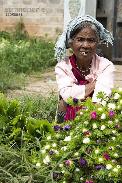 Frau verkauft Blumen  Pao Bergvolk  Markt Kalaw  Shan Staat  Myanmar  Burma  Birma  Asien