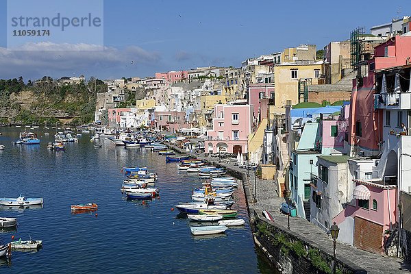 Marina di Corricella  Insel Procida  Phlegräische Inseln  Golf von Neapel  Kampanien  Italien  Europa