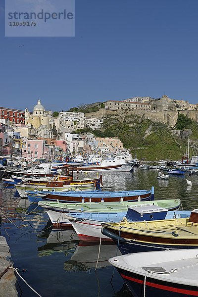 Fischerboote am Hafen  Marina di Corricella  Insel Procida  Phlegräische Inseln  Golf von Neapel  Kampanien  Italien  Europa