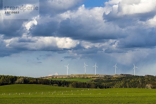 Landwirtschaftliche Landschaft mit Windkraftanlagen  grünen Wiesen und bewölkten Himmel  Hausdorf  Sachsen  Deutschland  Europa