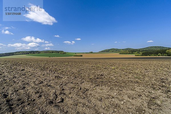 Landwirtschaftliche Landschaft  gepflügtes Feld  Cunnersdorf  Sachsen  Deutschland  Europa