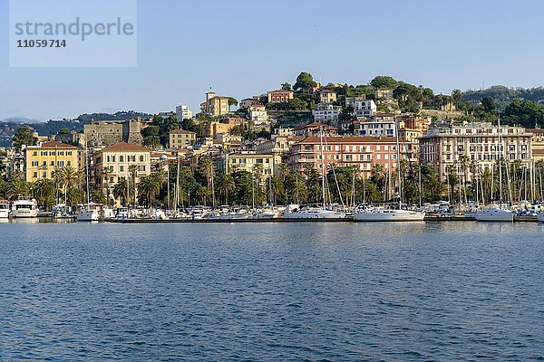 Häuser der Stadt La Spezia auf einem Hügel über dem Hafen  Provinz La Spezia  Ligurien  Italien  Europa