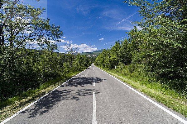 Typische Toskana-Landschaft mit Hügeln und Bäumen  Straße führt zu einer Stadt  Santa Fiora  Toskana  Italien  Europa