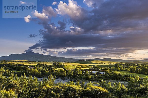 Typische grüne Landschaft der Toskana  Hügel  See  Bäume  gelber Ginster  Monte Amiata in der Ferne  Spedaletto  Val d?Orcia  Toskana  Italien  Europa