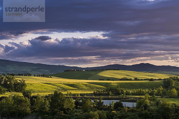 Typische grüne Landschaft der Toskana  Hügel  See  Bäume  Felder  Monte Amiata in der Ferne  Sonnenuntergang  Spedaletto  in Val d'Orcia  Toskana  Italien  Europa