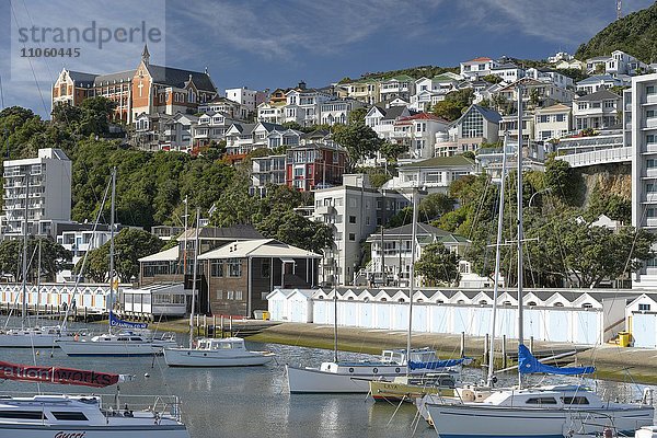 Segelyachten im Hafen  hinten Oriental Bay  Wellington  Nordinsel  Neuseeland  Ozeanien