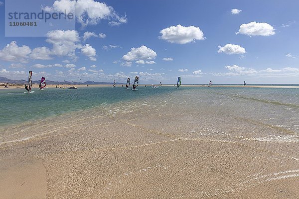 Windsurfer am Strand Playa Risco del Paso  Playa de Sotavento  Jandia  Fuerteventura  Kanarische Inseln  Spanien  Europa