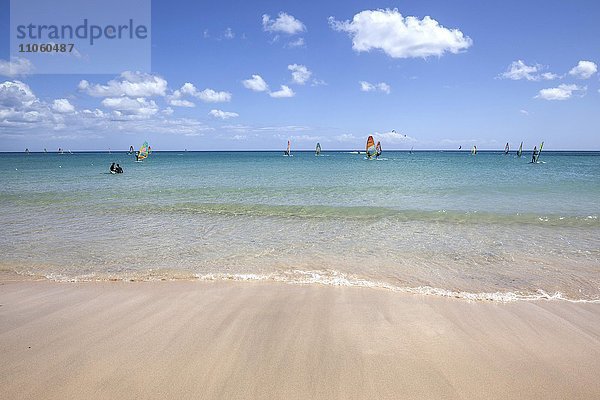 Windsurfer im türkisblauen Meer vor dem Strand Playa Risco del Paso  Playa de Sotavento  Jandia  Fuerteventura  Kanarische Inseln  Spanien  Europa