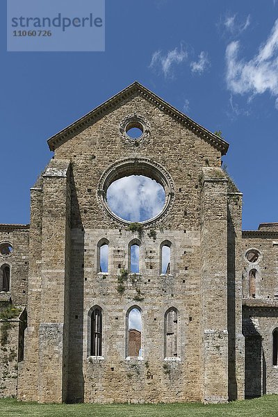 Ruine der ehemaligen Zisterzienserabtei Abbazia San Galgano  Chiusdino  Toskana  Italien  Europa