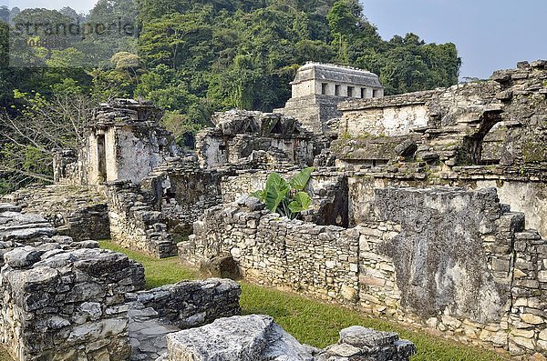 El Palacio  Teilansicht  hinten Tempel der Inschriften  Maya-Ruinenstätte Palenque  Chiapas  Mexiko  Nordamerika
