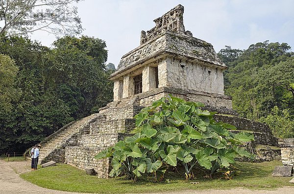 Tempel Templo del Sol  Maya-Ruinenstätte  Palenque  UNESCO-Weltkulturerbe  Palenque  Bundestaat Chiapas  Mexiko  Nordamerika