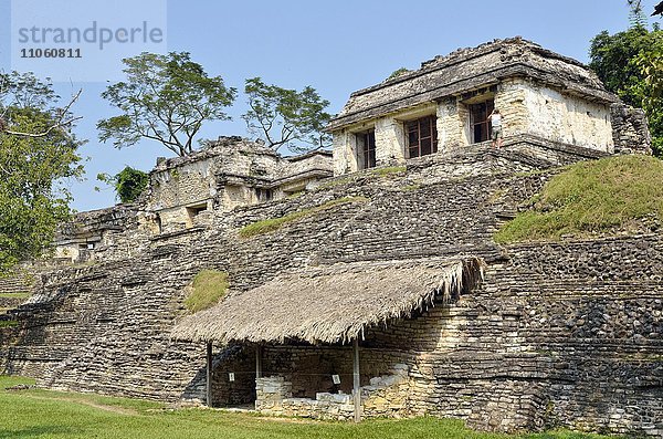 Tempel der Grupo Norte  Maya-Ruinenstätte Palenque  Chiapas  Mexiko  Nordamerika