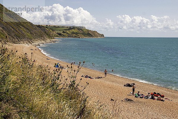Strand an der Osmington Bay  Dorset  Weymouth  England  Großbritannien  Europa