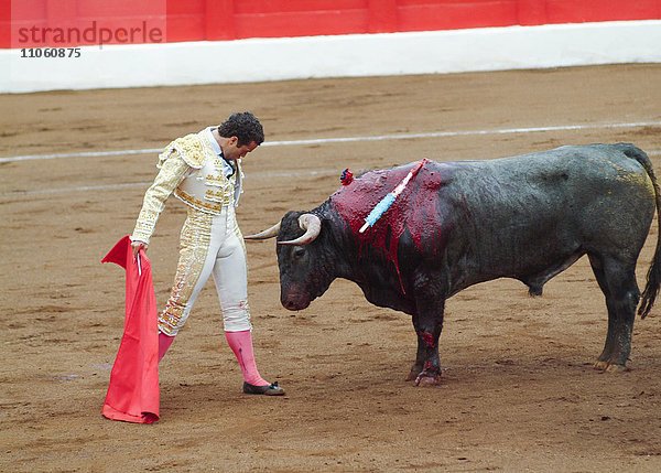 Stierkampf  Matador und Stier in der Arena  Santander  Kantabrien  Spanien  Europa