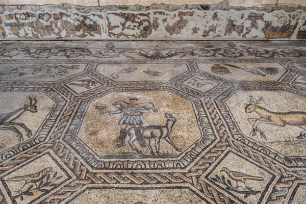 Frühchristlicher Mosaikboden mit Tiersymbolik  4.Jh.  freigelegt in romanischer Basilika  Innenaufnahme  Aquileia  Provinz Udine  Region Friaul-Julisch Venetien  Italien  Europa