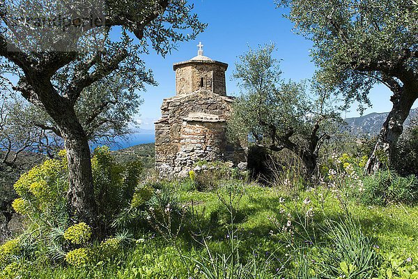 Kleine griechisch-orthodoxe Kirche in einem Bergdorf an der Küste inmitten von Olivenbäumen  Kato Chora  Peloponnes  Mani  Griechenland  Europa