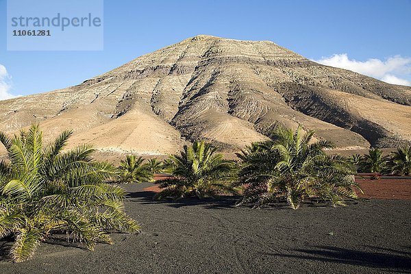 Montana de Medio  Berg in Vulkanlandschaft  Los Ajaches Gebirge  Lanzarote  Kanarische Inseln  Spanien  Europa