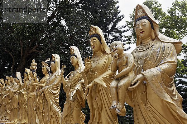 Statuen der buddhistischen Göttin Gunayin oder Kwan Giu oder Kwun Yam  eine hält ein Kind  weibliche Bodhisattvas  Kloster der 10.000 Buddhas  Sha Tin  New Territories  Hongkong  China  Asien