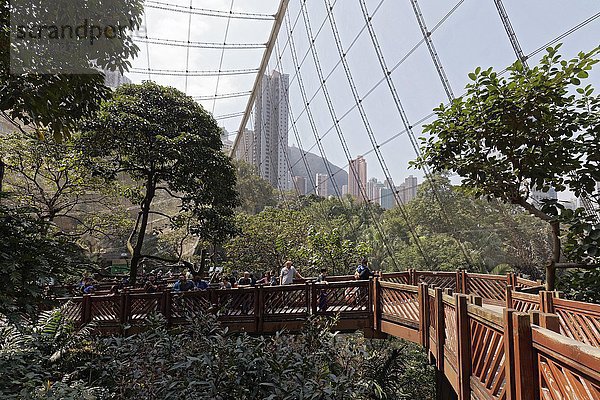 Begehbare Voliere im Hong Kong Park  Stadtteil Central  Hongkong Island  Hongkong  China  Asien
