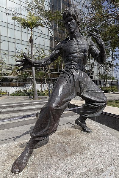 Bruce Lee in Kung-Fu-Pose  Statue aus Bronze  Avenue of Stars  Tsim Sha Tsui  Kowloon  Hongkong  China  Asien