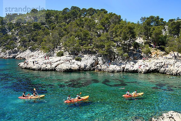 Calanque de Port Pin  Nationalpark Calanques  Provence  Frankreich  Europa
