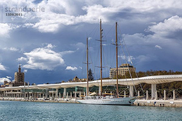 Weißes Segelboot im Hafen von Malaga  Costa del Sol  Andalusien  Spanien  Europa