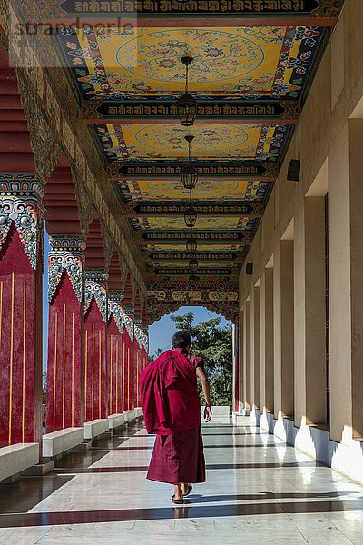 Ein junger Mönch vom Kloster Amitabha  Kloster Amitabha  Nepal  Asien