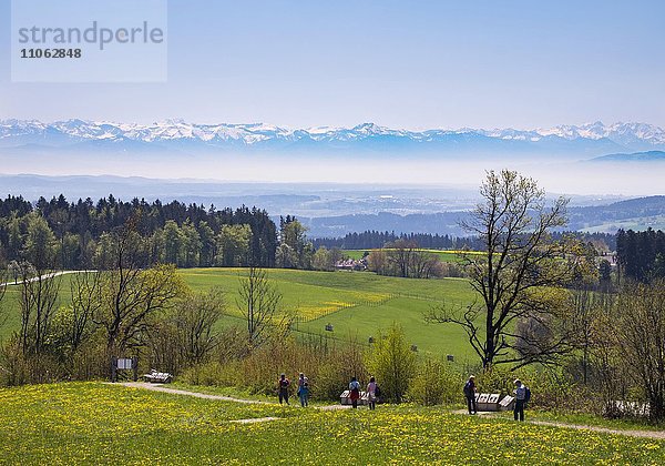 Ausblick vom Berg Höchsten  hinten die Alpen  Oberschwaben  Schwaben  Baden-Württemberg  Deutschland  Europa