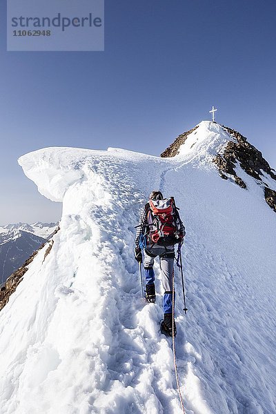 Bergsteiger beim Aufstieg im Schnee auf die Wildspitze auf dem Gipfelgrat mit Schneewächte  Vent  Sölden  Ötztal  Ötztaler Alpen  Tirol  Österreich  Europa