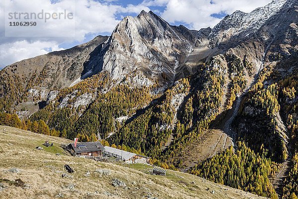 Ausblick beim Aufstieg zum Saurüssel im Laasertal oberhalb von Laas im Vinschgau  hier bei der Oberen Laaseralm  hinten die Jennwand und die Orgelspitz  Nationalpark Stilfser Joch  Laas  Vinschgau  Südtirol  Trentino-Südtirol  Italien  Europa