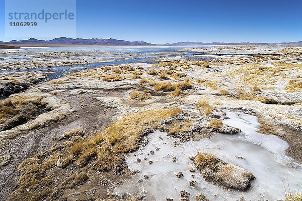 Ufer der Laguna Hedionda  bedeckt mit Salz und Eis  bei Uyuni  Altiplano  Bolivien  Südamerika