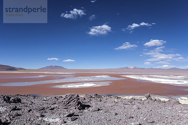 Laguna Colorada mit rotem Wasser durch hohen Gehalt an Algen  bei Uyuni  Lipez  Bolivien  Südamerika