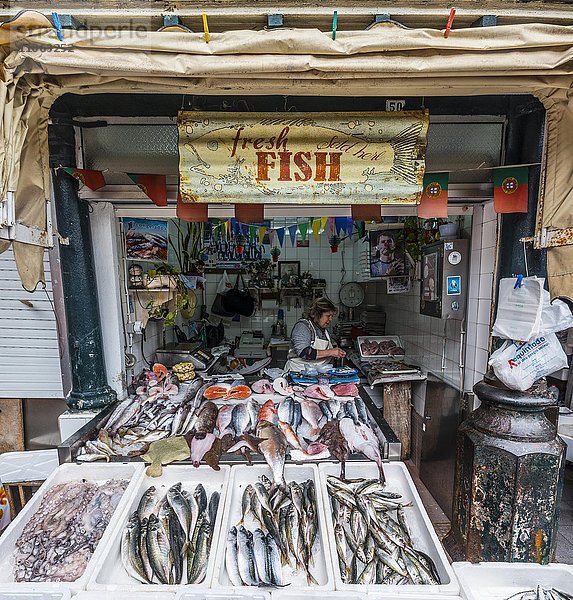 Fischstand mit Meeresfischen in der Auslage  Markt Mercado de Bolhão  Porto  Portugal  Europa
