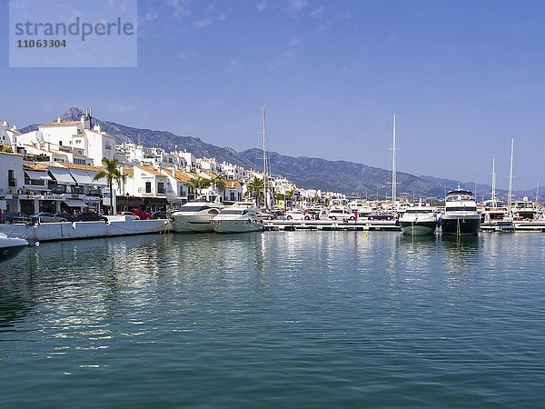 Hafen mit Luxusyachten  Porto Banús  Marbella  Costa del Sol  Andalusien  Spanien  Europa