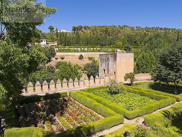 Gärten in der Alhambra  UNESCO-Weltkulturerbe  Granada  Spanien  Europa