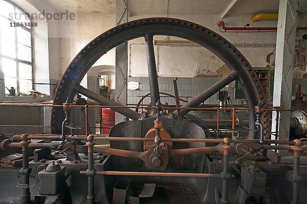 Historische Dampfmaschine  Baujahr 1901  einer ehemaligen Brauerei  Neustadt an der Aisch  Mittelfranken  Bayern  Deutschland  Europa