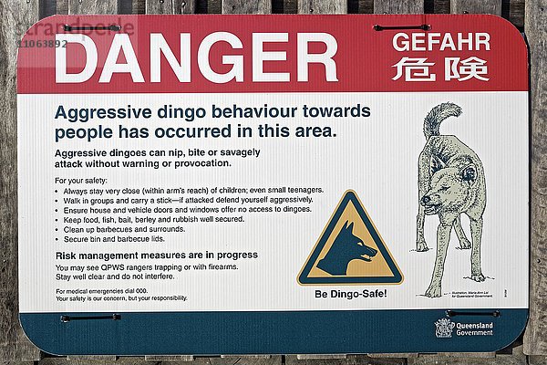 Schild  Warnung  Gefahr vor Dingo (Canis lupus dingo)  Fraser Island  Great Sandy National Park  Queensland  Australien  Ozeanien