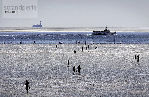 Spaziergänger laufen bei Ebbe im Watt  Wattwanderer  starkes Gegenlicht  Nordsee  Büsum  Schleswig-Holstein  Deutschland  Europa