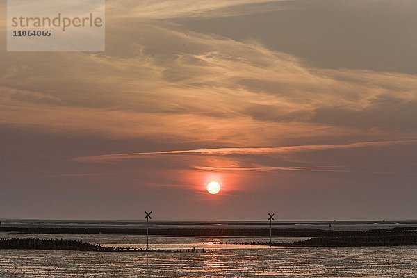 Wattenmeer bei Sonnenuntergang bei Ebbe oder Niedrigwasser  Nordsee vor Westerkoog  Hedwigenkoog  Dithmarschen  Schleswig-Holstein  Deutschland  Europa