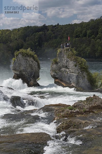 Besucher auf Felsen  Rheinfall bei Schaffhausen  Kanton Schaffhausen  Schweiz  Europa