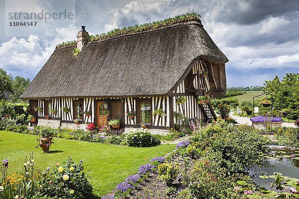 Fachwerkhaus  Département Seine-Maritime  Normandie  Frankreich  Europa