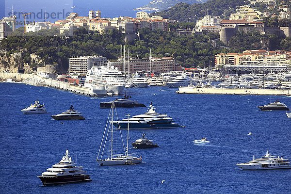 Superyachten im Hafen  Monaco  Monte-Carlo  Fürstentum Monaco  Europa