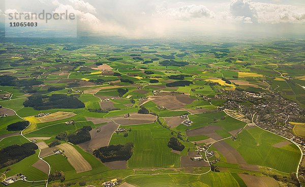 Luftaufnahme  landwirtschäftliche Flächen  Felder mit kleinen Wäldern bei München  Bayern  Deutschland  Europa
