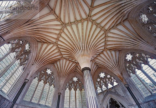Gebäudedecke im Kapitelhaus der mittelalterlichen Kathedrale von Wells  englische Gotik  Wells  Somerset  England  Großbritannien  Europa