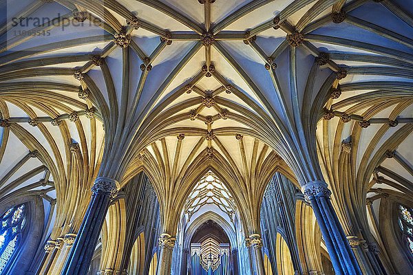 Innenansicht  gewölbte Dach des Chapter House  Wells Cathedral  Wells  Somerset  England